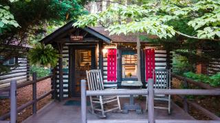 Log Cabin Motor Court - Asheville - 6