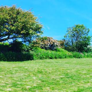 Wesley House Holidays - Choice of 2 Quirky Cottages in 4 private acres - 7