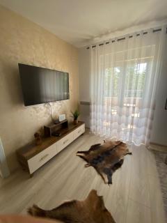 Apartman Zara Zlatar - Nova Varoš - 7