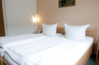 REGIOHOTEL Schanzenhaus Wernigerode - 9