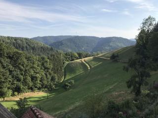 Morgethof - Wolfach - 6