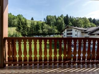 Appartement montagnard avec cheminée, animaux admis, proche pistes - FR-1-304-78 - La Clusaz - 1