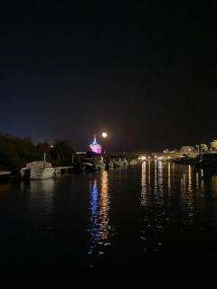 La lagune aux oiseaux - Palavas-les-Flots - 6