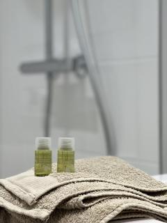 Appartement situé en plein coeur du centre-ville - 3