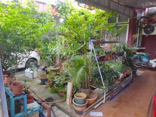 Singgahan Keluarga Jitu - Jitra - 2