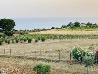 Villa Mancosta - Marinella di Selinunte - 9