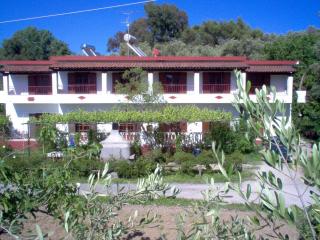Alexandros Studios - Mesongi - 7