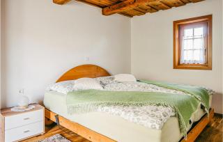 Ferienhaus Gaas Weinberg - Gaas - 5