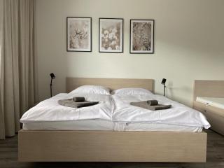 Apartmán LUEL - Dolní Morava - 7