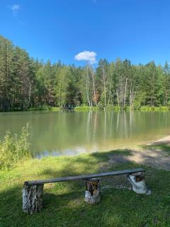 Forest and Lake - Borovoye - 4