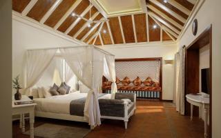 Wild Planet Jungle Resort - 8