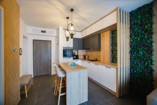 DUO Chic Apartment - Oradea - 5
