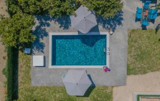 The Green Beauty - Pastida - 9