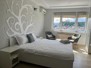 Cluj Napoca Apartament Lux Cuza Voda - Cluj-Napoca - 8