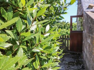 Lower Rissick Cottage - Penzance - 9