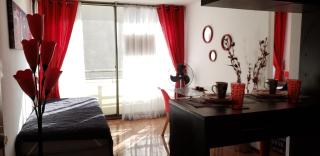Arriendo departamentos PA 6 y 7 - Santiago - 6