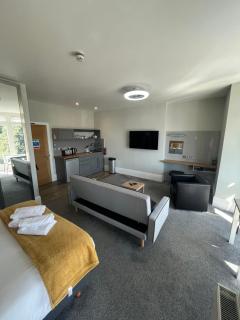 Harmony Apartments - Weston-super-Mare - 1