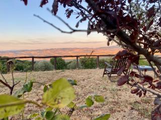 Agriturismo Podere Casella - Castiglione dʼOrcia - 6