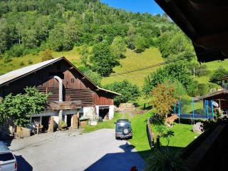 Pension Schlager Taxerhof - 2
