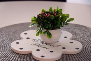 apartman Kami - Tuzla - 7