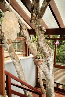 Casa da Árvore - Refúgio de Luxo com Jacuzzi e Vista para a Serra - 5