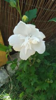 Le clos des olivettes - 8