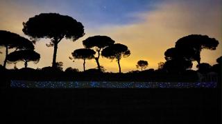 Wooden House - Monte da Cortiça - 1