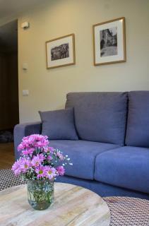 Apartaments Areny - L'Amfitriona - Esterri d'Àneu - 1
