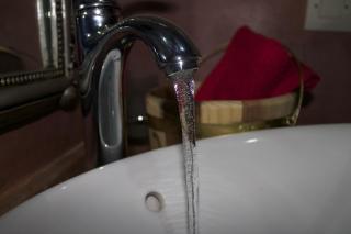 Collier De La Colombe - 6