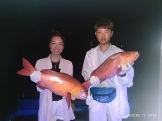 Manta Dhangethi - Dhangethi - 1