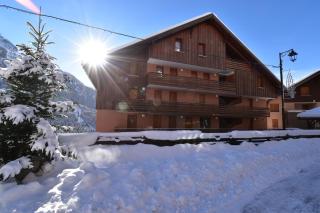 VAUJANYLOCATIONS - COCHETTE II APT 17 - Vaujany - 8