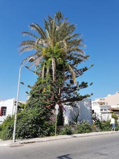 Heart of Kissamos Apartment - 2