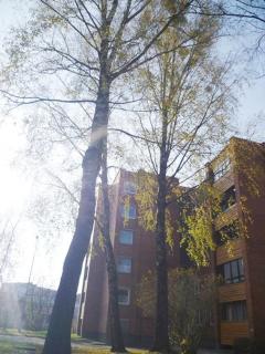 Šaulys1 - 3
