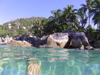 Bedarra Luxury Escape "BarefootOnBedarra" - Bedarra Island - 6