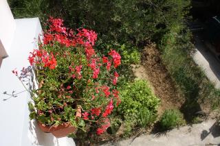 Apartments with parking space Palit, Rab - 4957 - 3