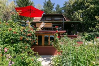 Cottage Veronika - Velika Gorica - 3