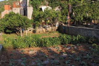 Apartments with a parking space Vis - 8861 - 3