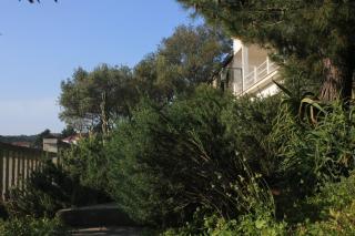 Apartments by the sea Rogac, Solta - 8688 - Grohote - 3