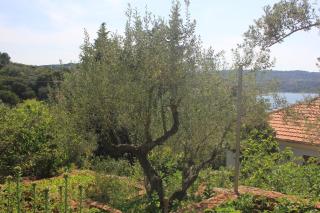 Apartments by the sea Necujam, Solta - 8691 - 2