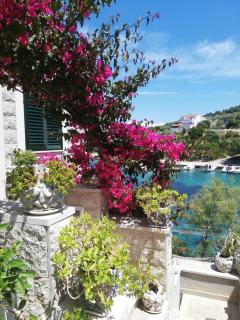 Apartments by the sea Cove Donja Kruscica - Donja Krusica, Solta - 11146 - Grohote - 4