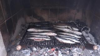 Apartments by the sea Stomorska, Solta - 11298 - 2