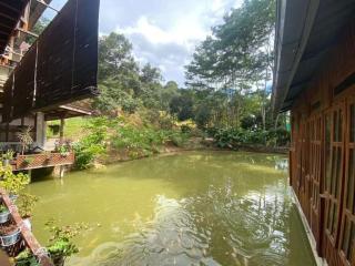 Jimmy Durian Orchard - Karak - 3