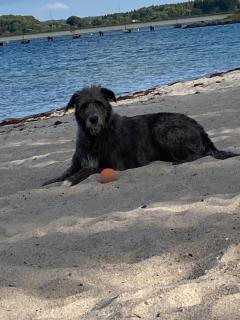 SchöneWohnung mit eigenem Gsrten und Eingang - 5