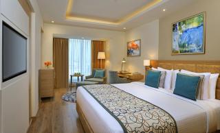 Golden Sarovar Portico - 1
