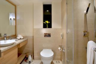 Golden Sarovar Portico - 1