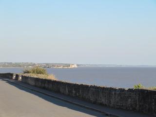 Venez vous ressourcer sur les falaises de Meschers - Meschers-sur-Gironde - 3