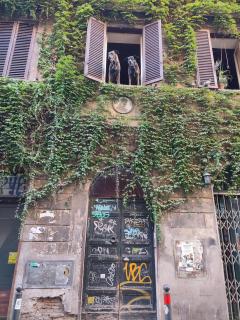 La Fenice MONTI - 3