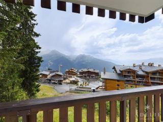 Studio rénové skis aux pieds, balcon sud, parking inclus, proche commerces et garderie. - FR-1-398-512 - La Rosière - 3