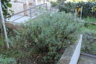 Apartments with parking space Seget Vranjica, Trogir - 8623 - 3