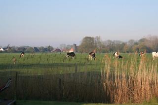 Ferienhaus "Blick up de Kohjen" - 7